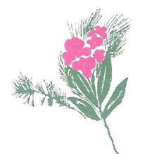 Π Ρ Ο Σ Κ Λ Η ΣΗ ΓΕΝΙΚΗΣ ΣΥΝΕΛΕΥΣΗΣ