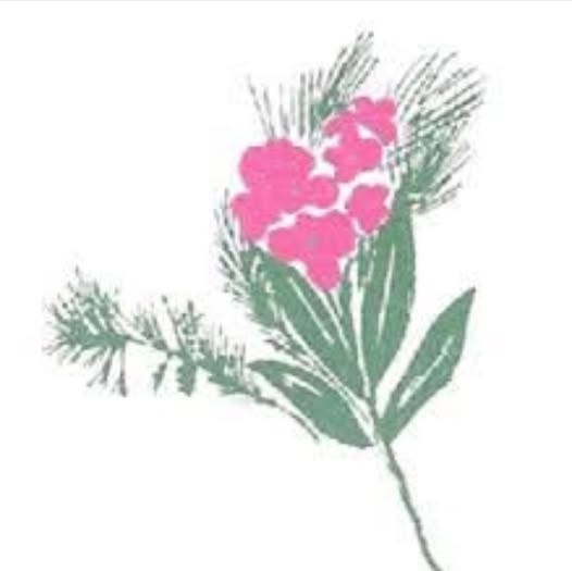 ΣΥΛΛΟΓΟΣ ΠΡΟΣΤΑΣΙΑΣ ΠΕΡΙΒΑΛΛΟΝΤΟΣ  ΦΙΛΟΘΕΗΣ